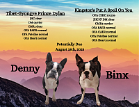 Denny Binx