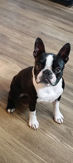 Denny